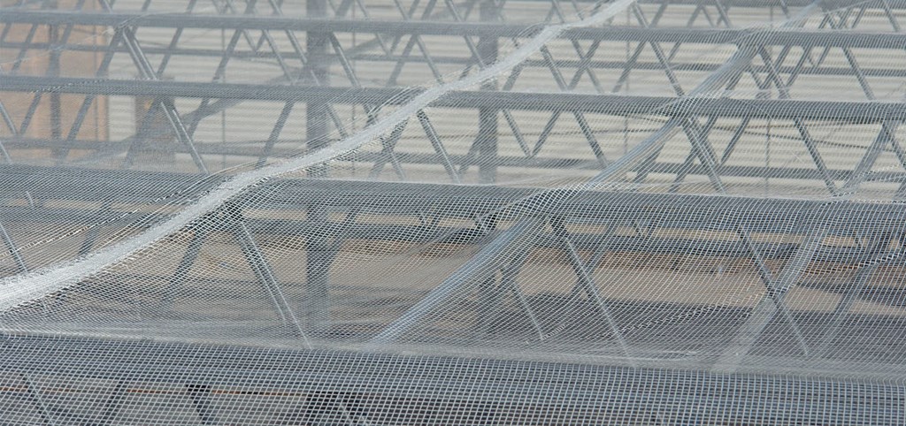 Sky-Web, Fall protection, Safety Fall protection system for roofs on Butler steel buildings